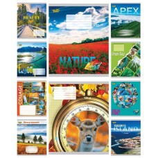 Зошит на 48 аркушів у лінію «Мікс PR», ТМ Тетрада