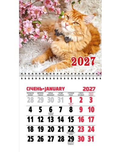 Календар магнітний «Котики» 11х20 см