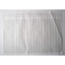 Пустографка двостороння А3, офсет