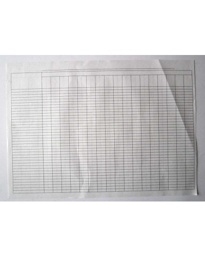 Пустографка двостороння А3, офсет