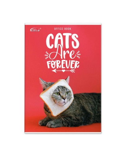 Канцелярська книга на 96 аркушів у клітинку на скобі з картонною обкладинкою, ТМ Gold Brisk