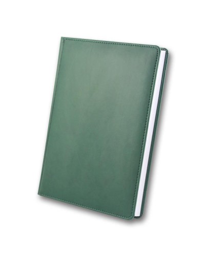 Щоденник недатований «WINNER» А5 на 168 аркушів, зелений, ТМ Brisk