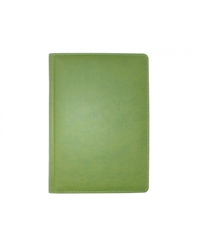 Щоденник недатований «WINNER» А6 на 176 аркушів, фісташковий, ТМ Brisk