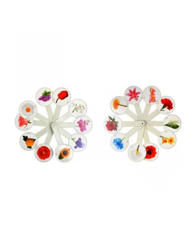 Віяло «Квіти»