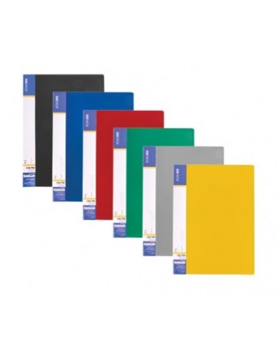 Папка пластикова А4 з 10 файлами, в асортименті, ТМ Economix