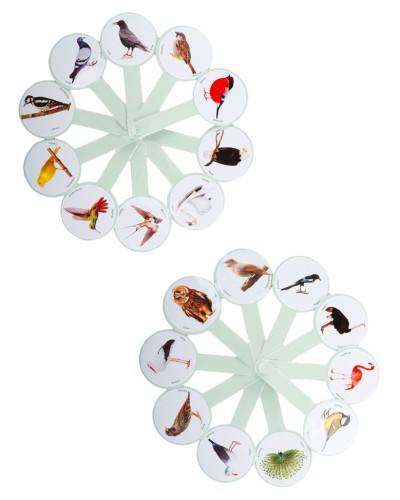 Віяло «Птахи»