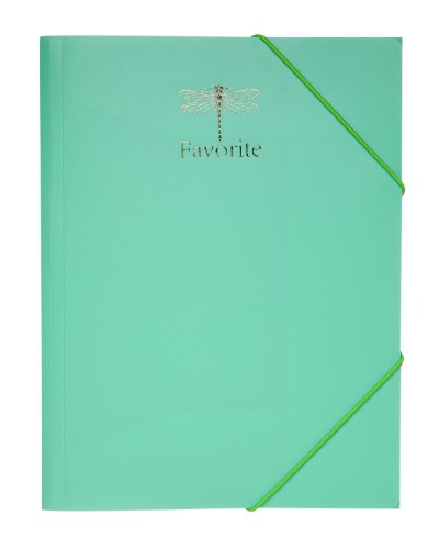 Папка «PASTEL», А4, на гумках, м'ятна, ТМ Buromax