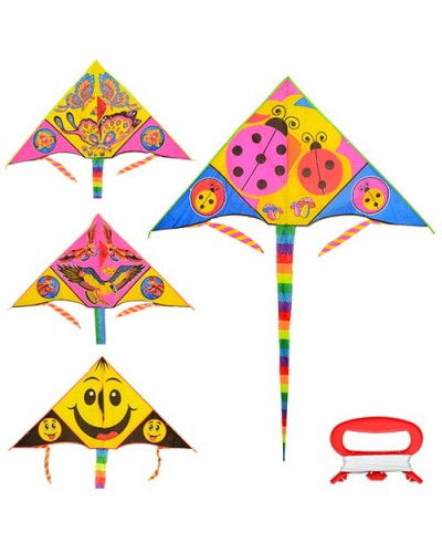 Повітряний змій 160х76 см та хвостом 200 см, на струні 30 м, в асортименті