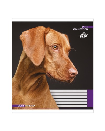 Зошит на 96 аркушів у лінію «Кращі друзі», №2190, ТМ Brisk