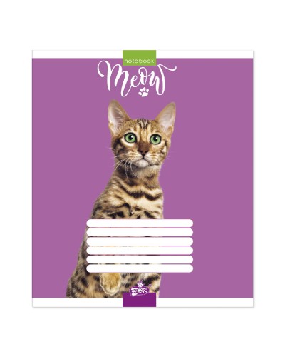 Зошит на 96 аркушів у лінію «Бешкетники», №2191, ТМ Brisk