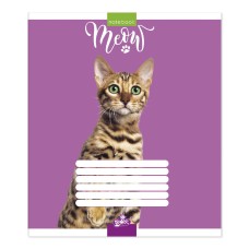 Зошит на 60 аркушів у лінію «Бешкетники», №2191, ТМ Brisk